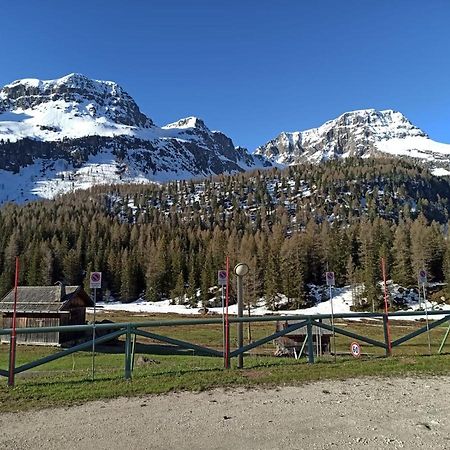 莫埃纳Casa Dolomiti公寓 外观 照片